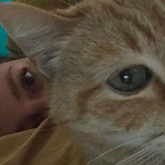 Meet your Posher, Lee - Picture 1 of 1